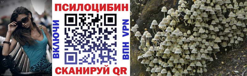 купить цена Севастополь Галлюциногенные грибы мухоморы